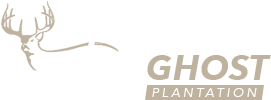 logo-header.png
