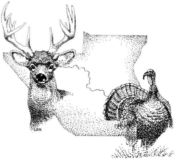 logo-no-background.png