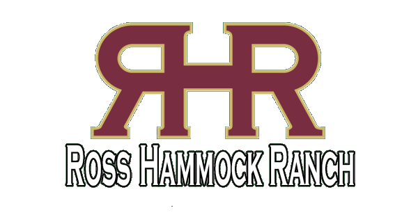 logo-resize-2.png