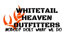 logo.png_.webp