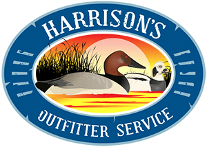 logo300.png