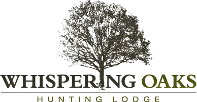 logo_%281%29.png