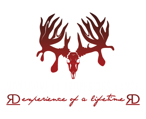 logo_%283%29_2.png