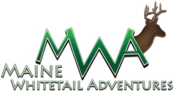 logo_0_0.webp