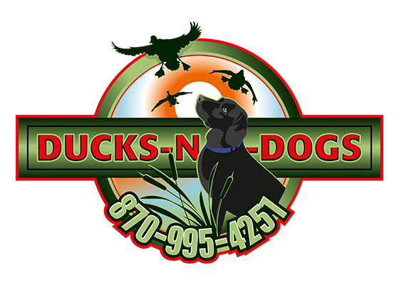 logo_15.png