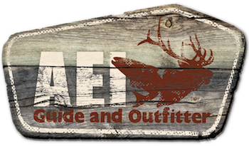 logo_21.png