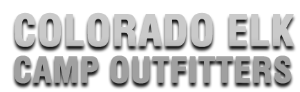 logo_22.png