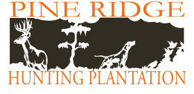 logo_25.png