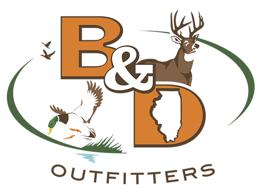 logo_29.png