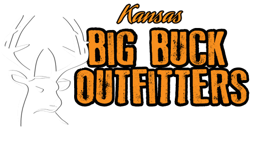 logo_34.png