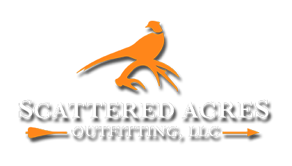 logo_35.png