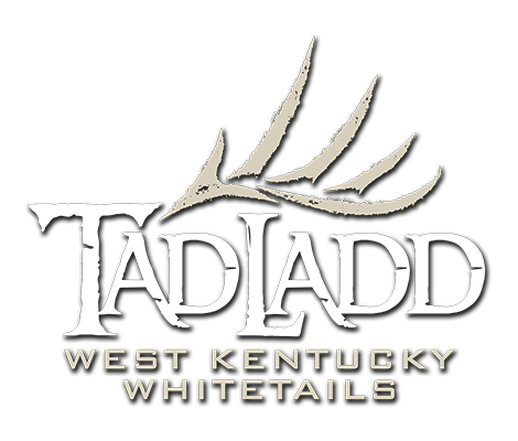 logo_39.png