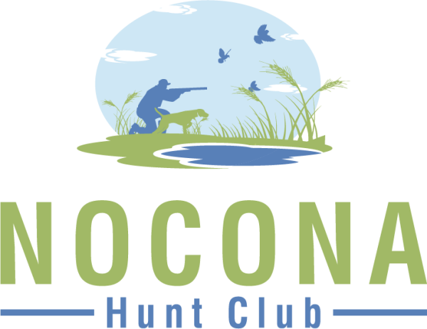 logo_4.png