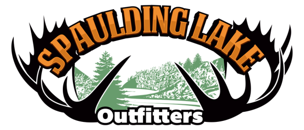 logo_40.png