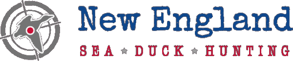 logo_42.png