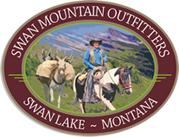 logo_53.png