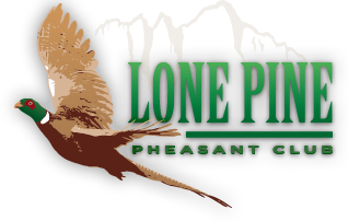 logo_7.png
