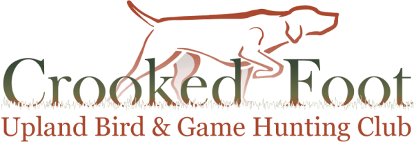 logo_placeholder.png