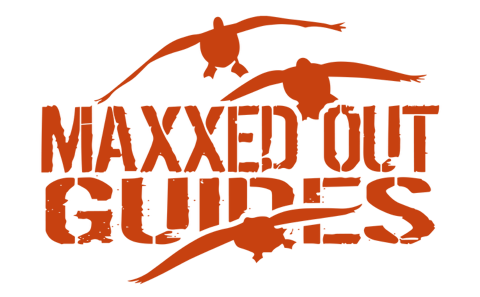 main-logo-orange.png