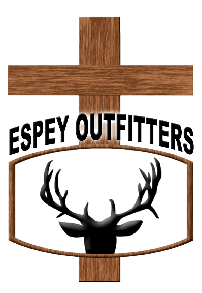 modeer-logo.png
