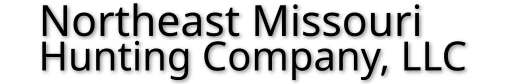 nemologo03.png
