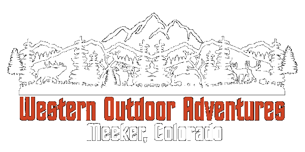 new-logo.png