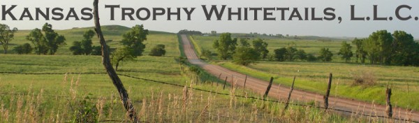 sceneryheader.jpg