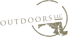 so-logo.png