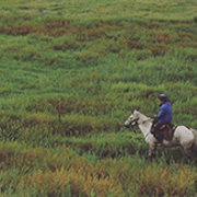 Public hunting lands