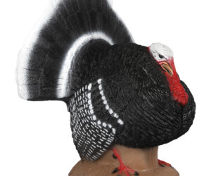 Delta McKenzie Backyard 3D Target Strutter Turkey