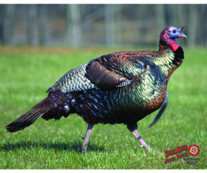 DuraMesh Archery Target Turkey 25 in. x 32 in.