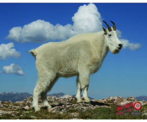 DuraMesh Archery Target Mountain Goat 25 in. x 32 in.