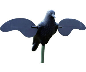 Mojo Crow Decoy