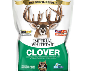 Whitetail Institute Imperial Clover Seed 2 lbs.