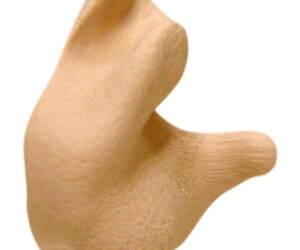Radians Custom Molded Earplugs Retail Box Tan