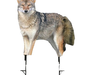Montana Decoy Song Dog Coyote Decoy