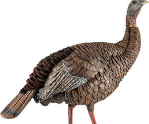 Avian X HDR Hen Decoy