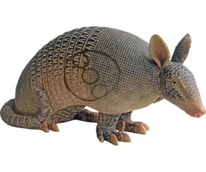 Big Shot Pro Hunter Armadillo Target