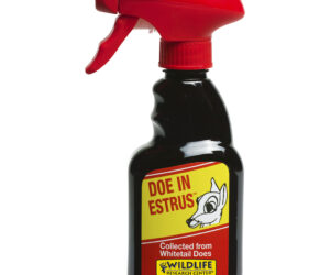 Wildlife Research Doe in Estrus 8 oz.
