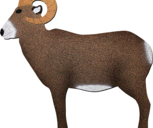 OnCore Archery Target Ram