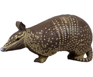 Rinehart Armadillo Target
