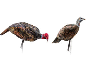 Montana Decoy Purr-Fect Pair XD Decoy Combo