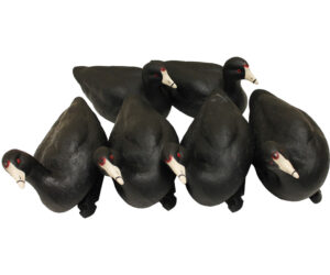 MOJO Coot Confidence Decoys 6 pk.