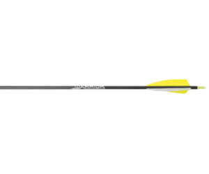 Gold Tip Warrior Arrows 600 4 in. Feathers 72 pk.