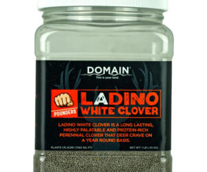 Domain White Clover Pounder Seed 1/16 Acre