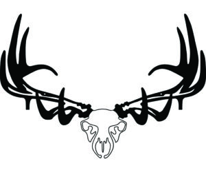 Raxx Bow Hanger Elk Skull