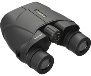 Leupold BX-1 Rogue Binoculars Black 10x25