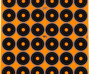 EzAim Splash 1 in. Bullseye Adhesive Targets 6x6 in. 12 pk.
