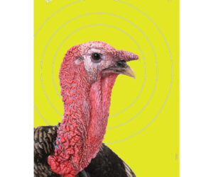 EzAim Splash Turkey Targets 12x18 8 pk.