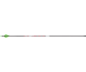 Victory VAP Sport Arrows 300 Raptor Vanes 6 pk.